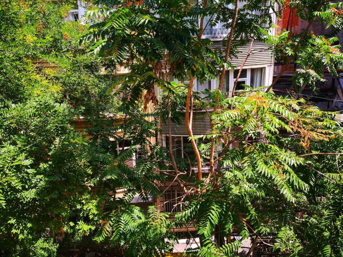 Gafa Garden Hostel & Apartments - Great Location Stambuł Zewnętrze zdjęcie